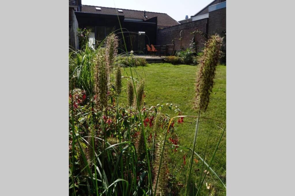 Vakantiehuis Vlakbij Het Strand En Natuur Villa Biervliet Exterior photo